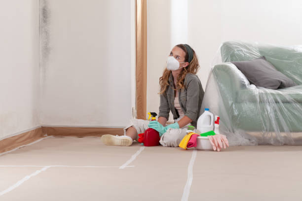 Trusted Crawl Space Mold Removal service in Beech Creek, PA - WQB Mold Removal